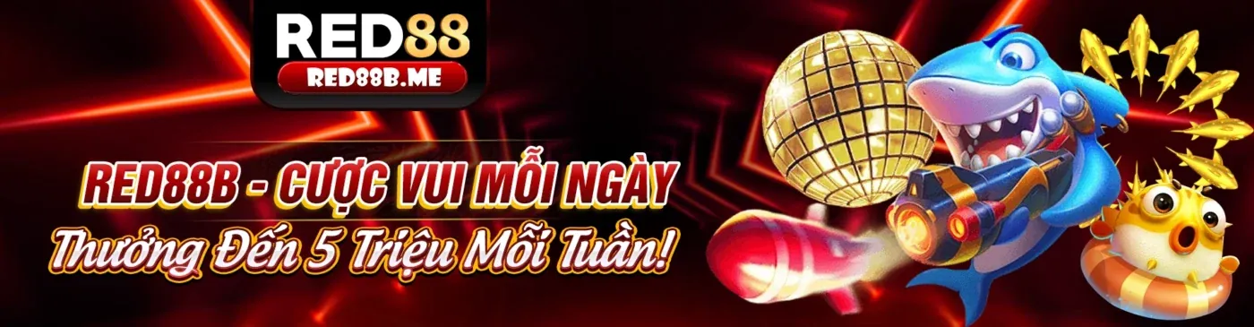 Điều Khoản và Điều Kiện của SSS666 Nhà Cái