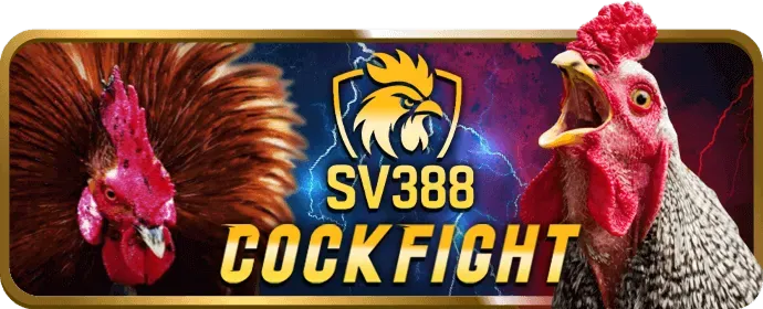 Hệ thống thông báo thông minh của sss666 app