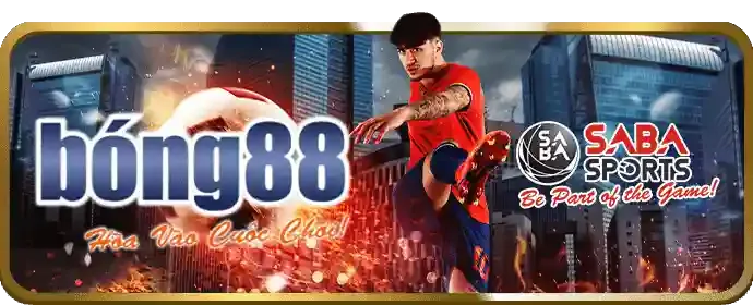 Đội ngũ hỗ trợ chuyên nghiệp sss666 nhà cái